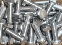 SS 304L Fasteners SS 304L Fasteners
