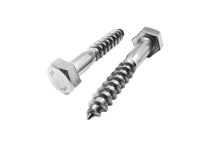Stainless Steel Lag Bolt