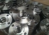 SS 304L Flanges