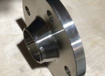 SS 310 Flanges