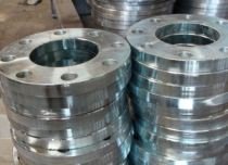 SS 316 Flanges