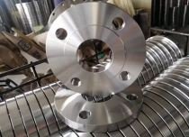 SS 321 Flanges